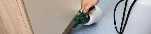 Bed bug exterminator treating baseboards and cracks with targeted spray in New Orleans, LA