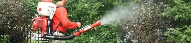 Mosquito control technician fogging shrubs and landscaping for mosquito treatment in New Orleans, LA