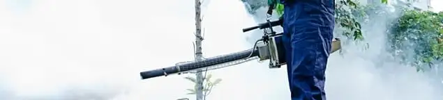 Pest control technician fogging an outdoor area for insect control in New Orleans, LA
