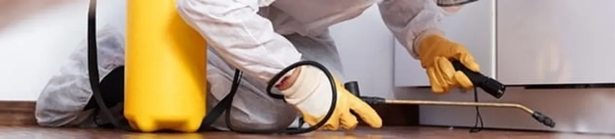 Roach exterminator treating cracks and crevices along kitchen baseboards in New Orleans, LA