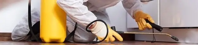 Roach exterminator treating cracks and crevices along kitchen baseboards in New Orleans, LA