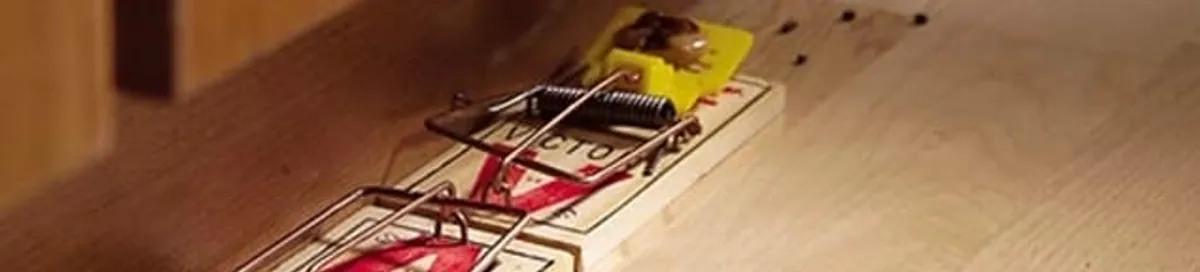 Rodent trap set indoors for rodent control and prevention in New Orleans, LA