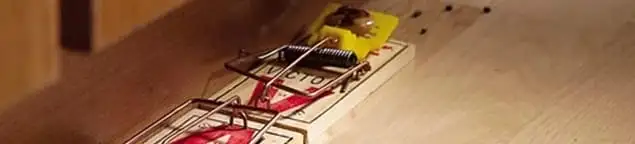 Rodent trap set indoors for rodent control and prevention in New Orleans, LA